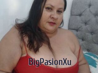 BigPasionXu