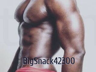 BigSnack42300