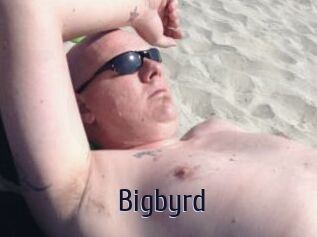 Bigbyrd