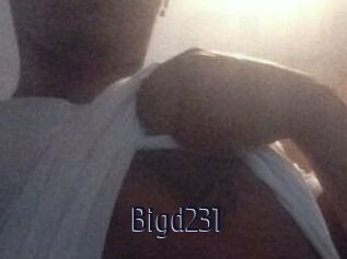 Bigd231