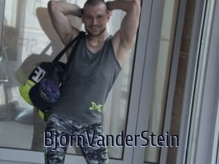 BjornVanderStein