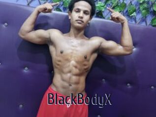 BlackBodyX