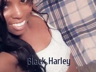 Black_Harley