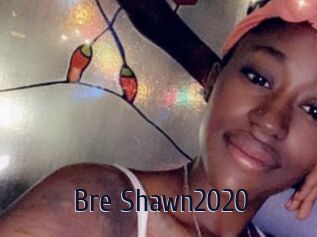 Bre_Shawn2020