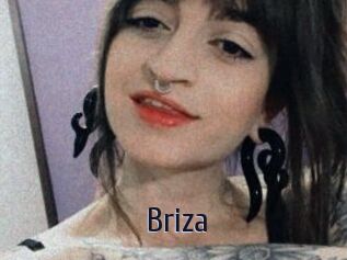 Briza