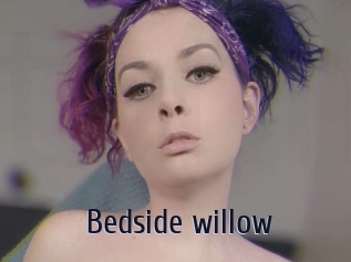 Bedside_willow