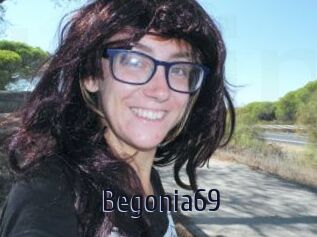 Begonia69