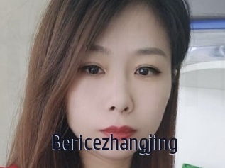 Bericezhangjing
