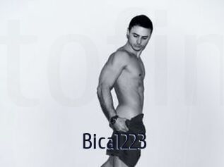Bica1223