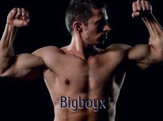 Bigboyx