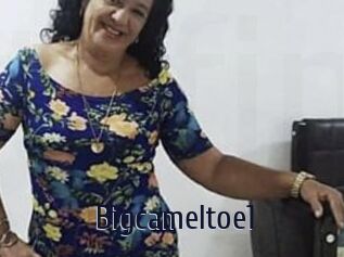 Bigcameltoe1