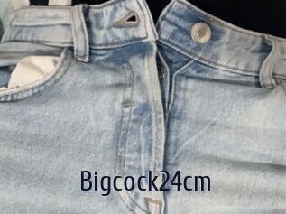 Bigcock24cm