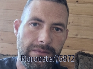 Bigrooster76872