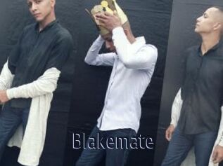 Blakemate