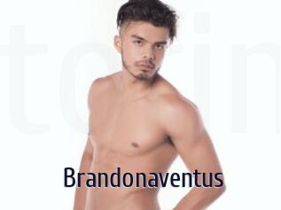 Brandonaventus