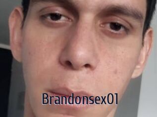 Brandonsex01