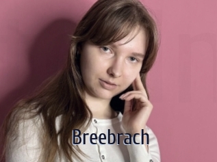 Breebrach