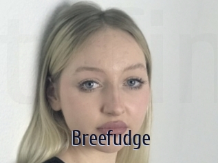 Breefudge