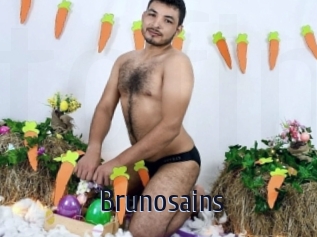 brunosains Topp Finder