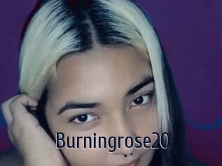 Burningrose20