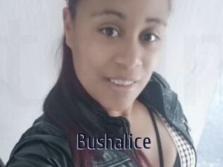 Bushalice