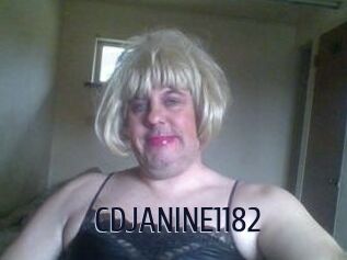 CDJANINE1182