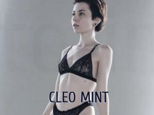 CLEO_MINT