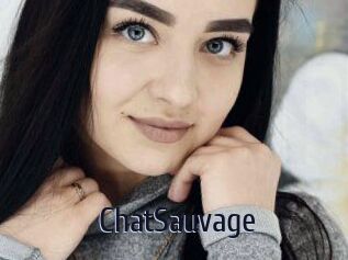 ChatSauvage