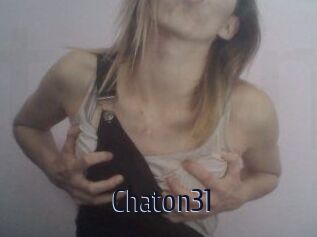 Chaton31