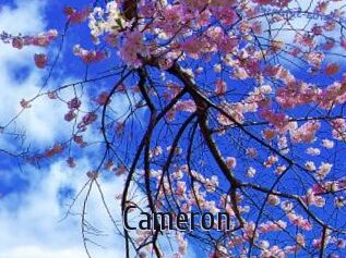 Cameron