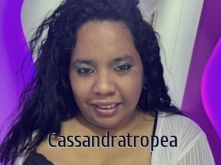 Cassandratropea