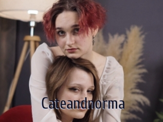 cateandnorma Topp Finder
