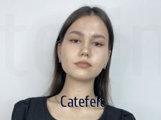 Catefelt
