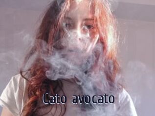 Cato_avocato
