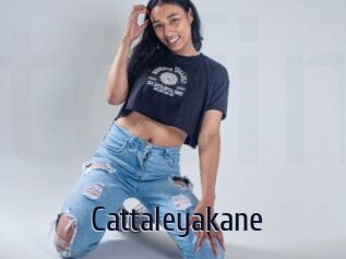 Cattaleyakane