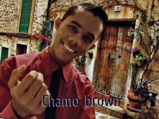 Chamo_brown