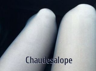 Chaudesalope