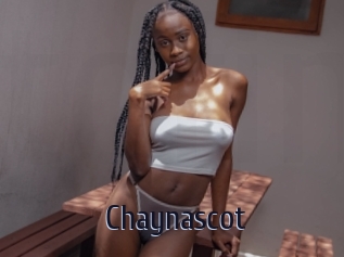 Chaynascot