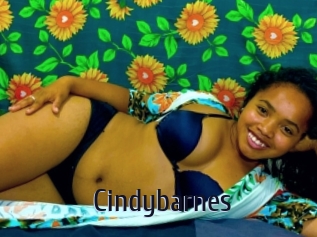 Cindybarnes
