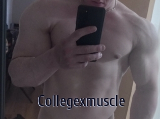 Collegexmuscle