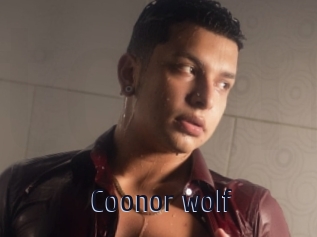 Coonor_wolf