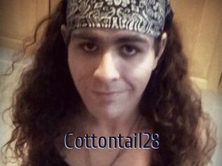 Cottontail28