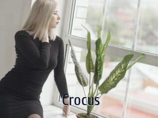 Crocus