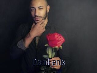 DamFenix