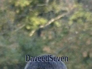 DaveedSeven