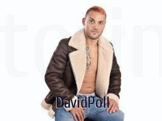 DavidPoll