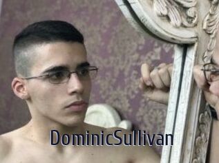 DominicSullivan