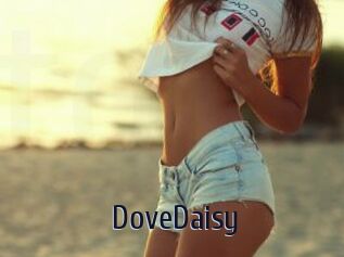 DoveDaisy