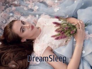 DreamSleep