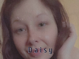 D_a_i_s_y